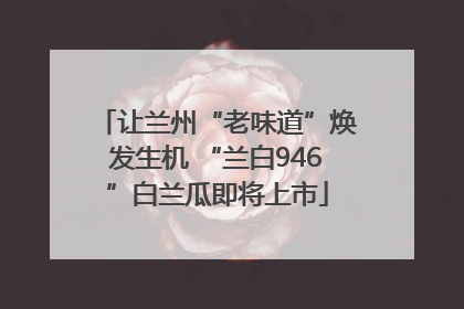 让兰州“老味道”焕发生机 “兰白946”白兰瓜即将上市