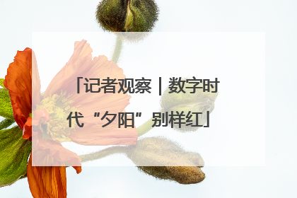 记者观察｜数字时代“夕阳”别样红