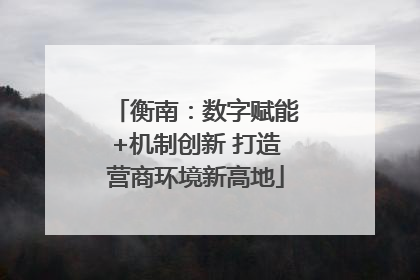 衡南：数字赋能+机制创新 打造营商环境新高地