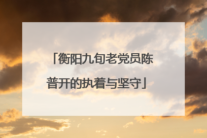 衡阳九旬老党员陈普开的执着与坚守