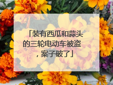 装有西瓜和蒜头的三轮电动车被盗，案子破了