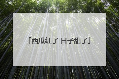西瓜红了 日子甜了