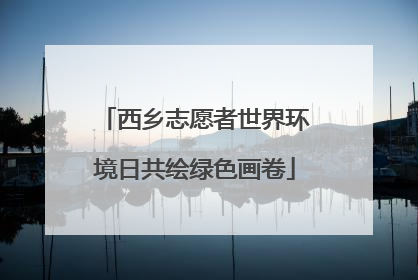 西乡志愿者世界环境日共绘绿色画卷