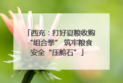 西充：打好夏粮收购“组合拳” 筑牢粮食安全“压舱石”