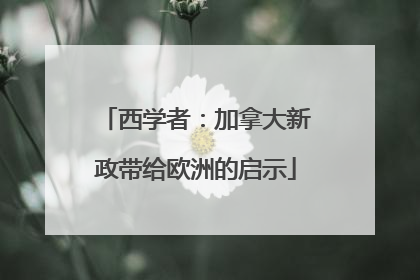 西学者：加拿大新政带给欧洲的启示
