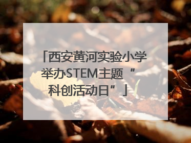 西安黄河实验小学举办STEM主题“科创活动日”