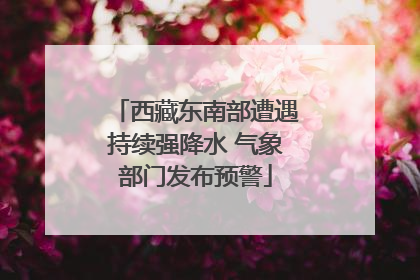 西藏东南部遭遇持续强降水 气象部门发布预警
