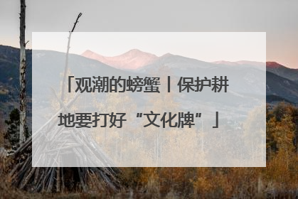 观潮的螃蟹丨保护耕地要打好“文化牌”