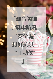 观音阁镇：筑牢防汛“安全堤” 打好抗洪“主动仗”