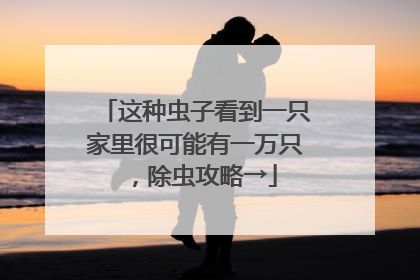 这种虫子看到一只家里很可能有一万只，除虫攻略→