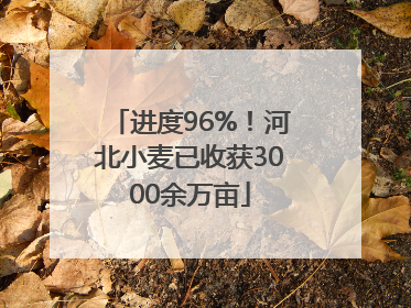 进度96%！河北小麦已收获3000余万亩