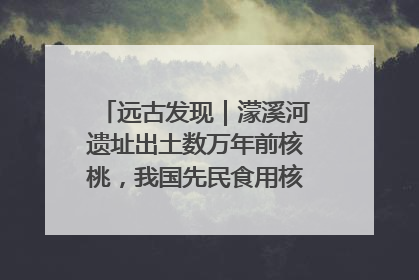 远古发现｜濛溪河遗址出土数万年前核桃，我国先民食用核桃历史大幅提前
