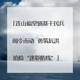 连山福堂镇基干民兵闻令而动  勇筑抗洪抢险“迷彩防线”