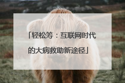 轻松筹：互联网时代的大病救助新途径