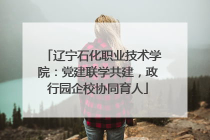 辽宁石化职业技术学院：党建联学共建，政行园企校协同育人