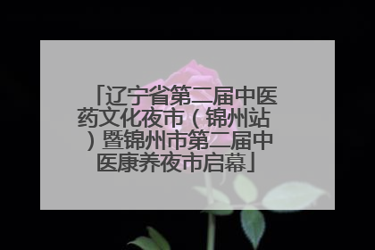 辽宁省第二届中医药文化夜市（锦州站）暨锦州市第二届中医康养夜市启幕