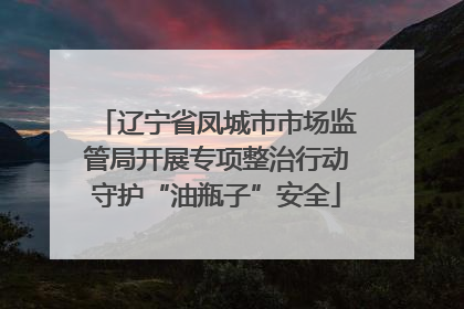 辽宁省凤城市市场监管局开展专项整治行动守护“油瓶子”安全