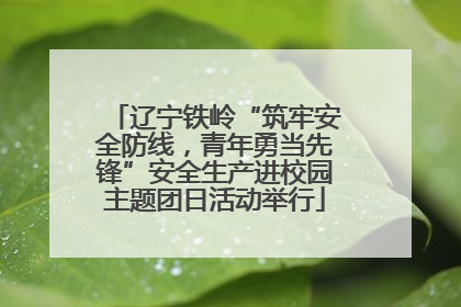 辽宁铁岭“筑牢安全防线，青年勇当先锋”安全生产进校园主题团日活动举行