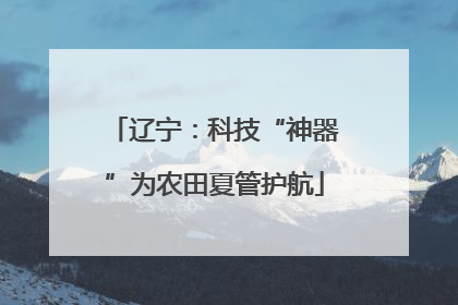辽宁：科技“神器”为农田夏管护航