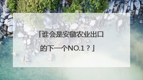 谁会是安徽农业出口的下一个NO.1？
