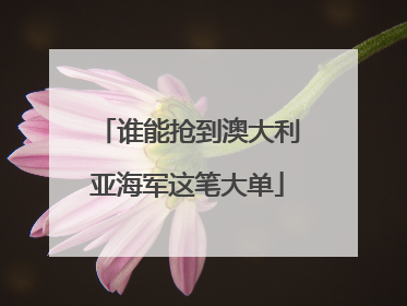 谁能抢到澳大利亚海军这笔大单