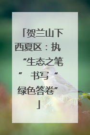 贺兰山下西夏区：执“生态之笔” 书写“绿色答卷”