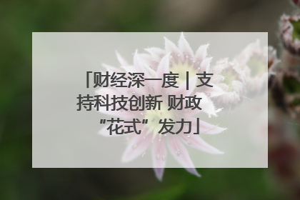 财经深一度｜支持科技创新 财政“花式”发力