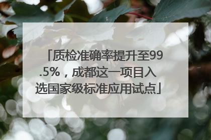 质检准确率提升至99.5%，成都这一项目入选国家级标准应用试点