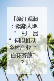 赣江观澜：赣鄱大地“一村一品”何以推动乡村产业“百花齐放”？