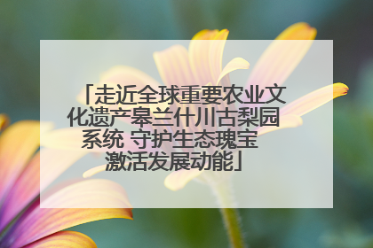 走近全球重要农业文化遗产皋兰什川古梨园系统 守护生态瑰宝 激活发展动能