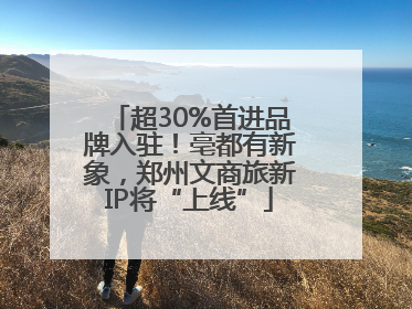 超30%首进品牌入驻！亳都有新象，郑州文商旅新IP将“上线”