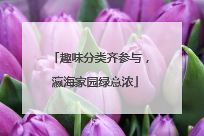 趣味分类齐参与，瀛海家园绿意浓