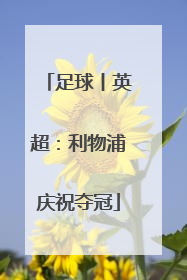 足球丨英超：利物浦庆祝夺冠