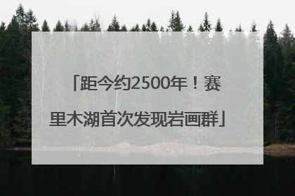 距今约2500年！赛里木湖首次发现岩画群