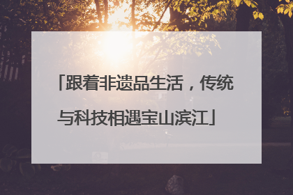 跟着非遗品生活，传统与科技相遇宝山滨江