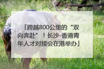 跨越800公里的“双向奔赴”！长沙-香港青年人才对接会在港举办