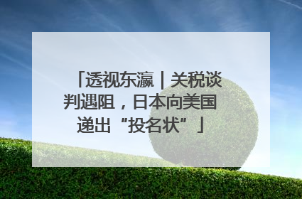 透视东瀛｜关税谈判遇阻，日本向美国递出“投名状”