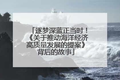 逐梦深蓝正当时！《关于推动海洋经济高质量发展的提案》背后的故事