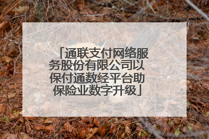 通联支付网络服务股份有限公司以保付通数经平台助保险业数字升级