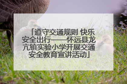 遵守交通规则 快乐安全出行——怀远县龙亢镇实验小学开展交通安全教育宣讲活动