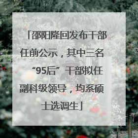 邵阳隆回发布干部任前公示，其中三名“95后”干部拟任副科级领导，均系硕士选调生