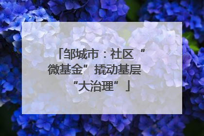 邹城市：社区“微基金”撬动基层“大治理”