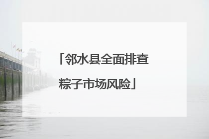 邻水县全面排查粽子市场风险