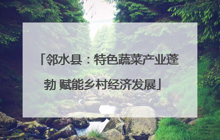 邻水县：特色蔬菜产业蓬勃 赋能乡村经济发展