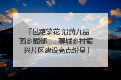 邑路繁花 沿黄九品 画乡鲤都……聊城乡村振兴片区建设亮点纷呈