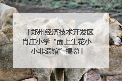郑州经济技术开发区肖庄小学“面上生花小小非遗馆”揭幕
