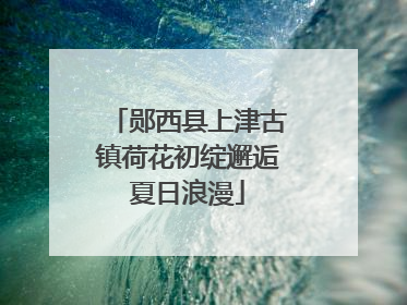 郧西县上津古镇荷花初绽邂逅夏日浪漫