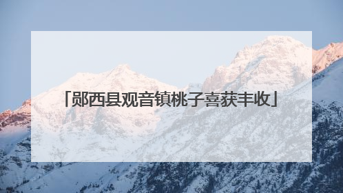 郧西县观音镇桃子喜获丰收
