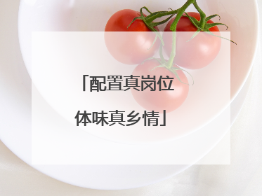 配置真岗位 体味真乡情