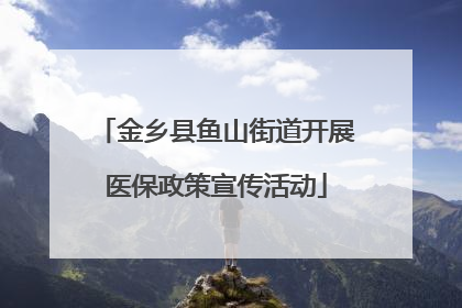 金乡县鱼山街道开展医保政策宣传活动